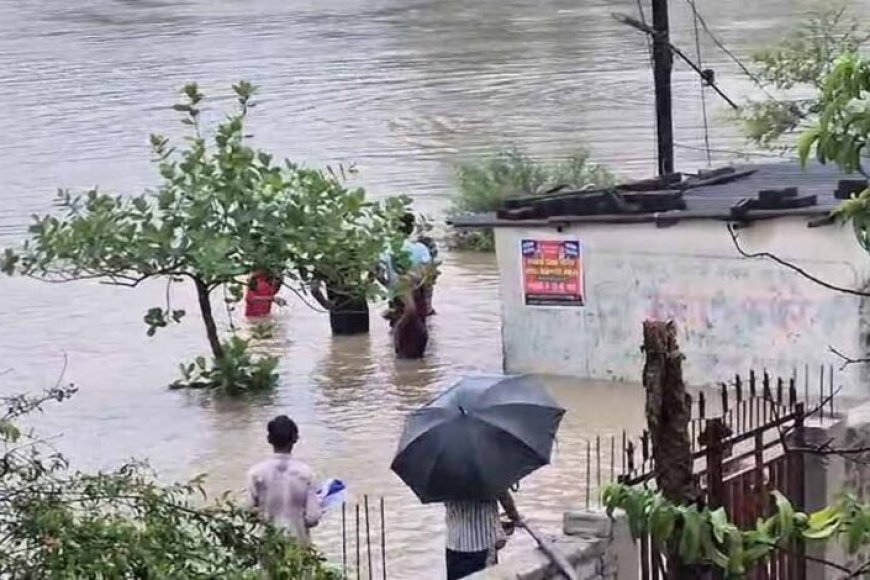 बिलासपुर-में-भारी-बारिश-से-कई-घर-बने-टापू,-भूख-प्यास-से-जूझ-रहे-लोग