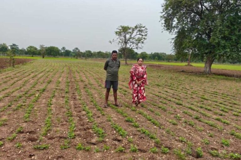किसानों-ने-अपनाया-लाभकारी-फसलों-का-विकल्प-हो-रहा-है,-किसानों-की-आमदनी-में-इजाफा