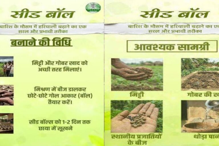 सीड-बॉल-अभियान-हरियाली-बढ़ाने-का-सरल-और-प्रभावी-माध्यम