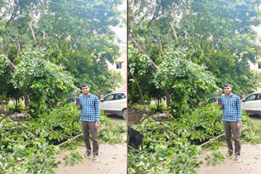 मुख्यमंत्री-हेल्पलाइन-से-मिला-त्वरित-समाधान,-बिजली-तार-से-टकरा-रही-पेड़-की-डालियां-हटीं,-बड़ा-हादसा-टला