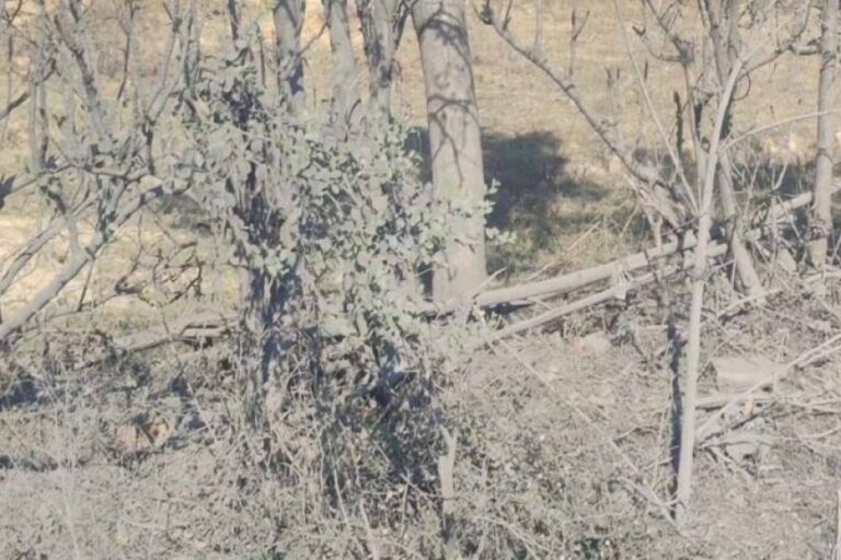 cg-forest-survey:-रामसर-वेटलैंड-पर-कोयला-कारोबार-का-संकट,-5-किमी-दायरे-में-2-कोल-वाशरी-और-9-कोल-डिपो
