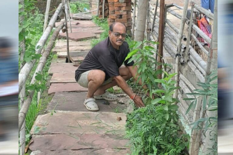 जबलपुर-संभागीय-महासचिव-अनिल-कमल-तिवारी-ने-आम-के-वृक्ष-कटनी-में-लगाए