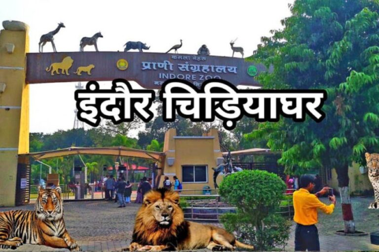 इंदौर-चिड़ियाघर-में-बढ़ेगा-आकर्षण,-आएगा-एक-सींग-वाले-गैंडों-का-जोड़ा,-700-किमी-दूर-से-पहुंचेगा-दरियाई-घोड़ा-‘सतीश’