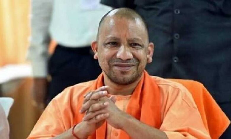 Yogi_07-12-780x470