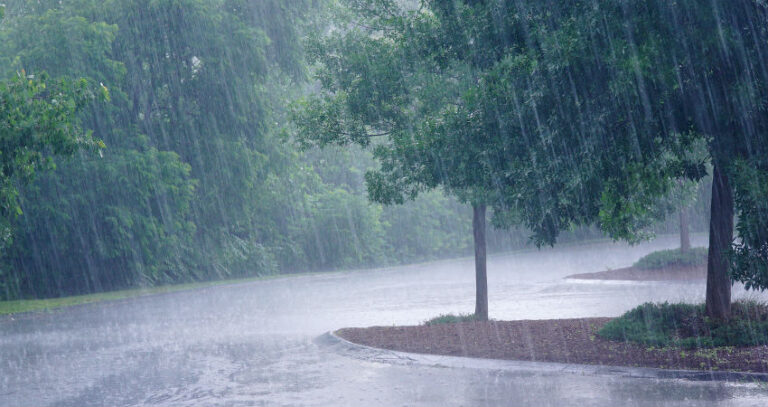 image0505