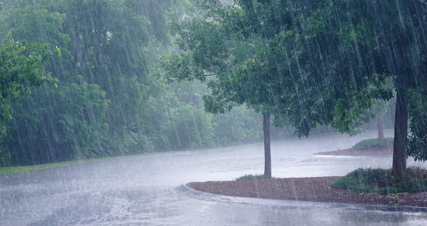 image0505