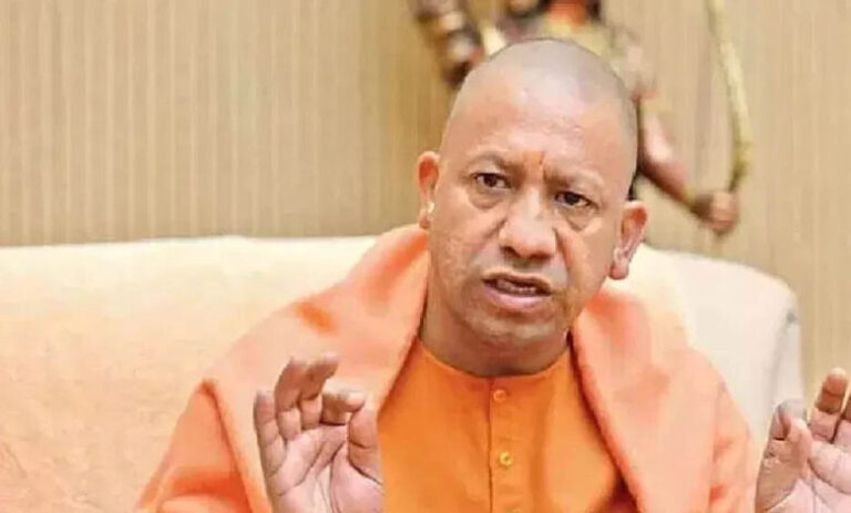 yogi_98-2-780x470