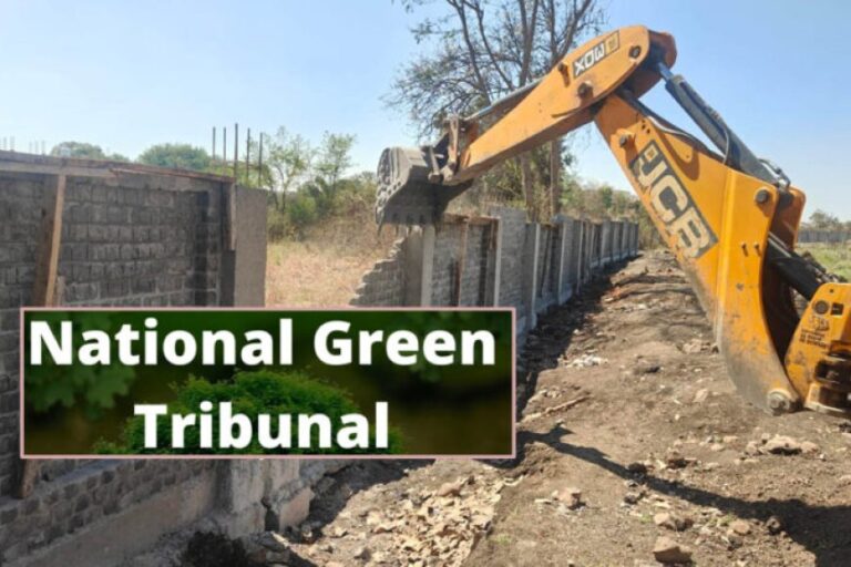 5897-574769074-403261705862924874116-900522-ngt-192206797423-50-504653417004-ftl