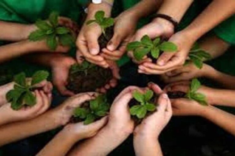 6076-538996504102928015-020440531-795401-11-048656452-009318315922610-071329